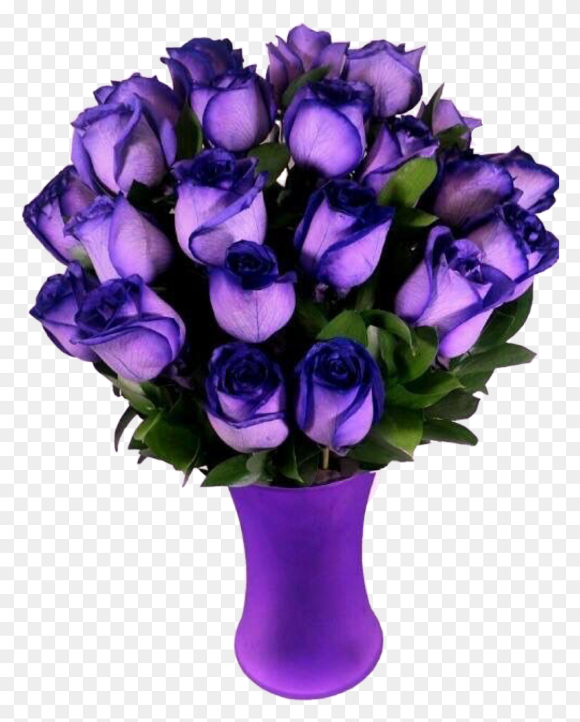 1024x1294 Purple Vase Roses Flowers Beautiful Freetoedit Most Beautiful Purple Roses In The World, Plant, Flower, Blossom HD PNG Download