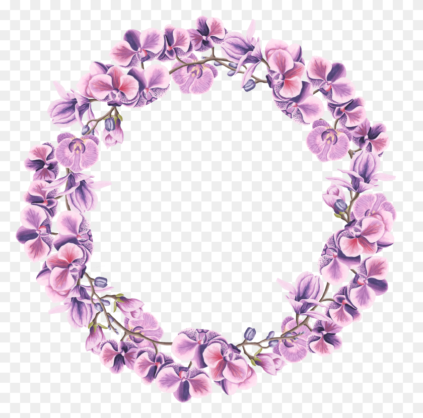 3227x3188 Purple Wreath Floral Wreath Flower Frame Flower Sulu Boya HD PNG Download