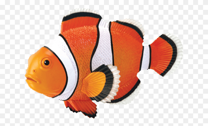 641x451 Пазл Рыба-Клоун 4D Пазл, Амфиприон, Морская Жизнь, Рыба Png Скачать