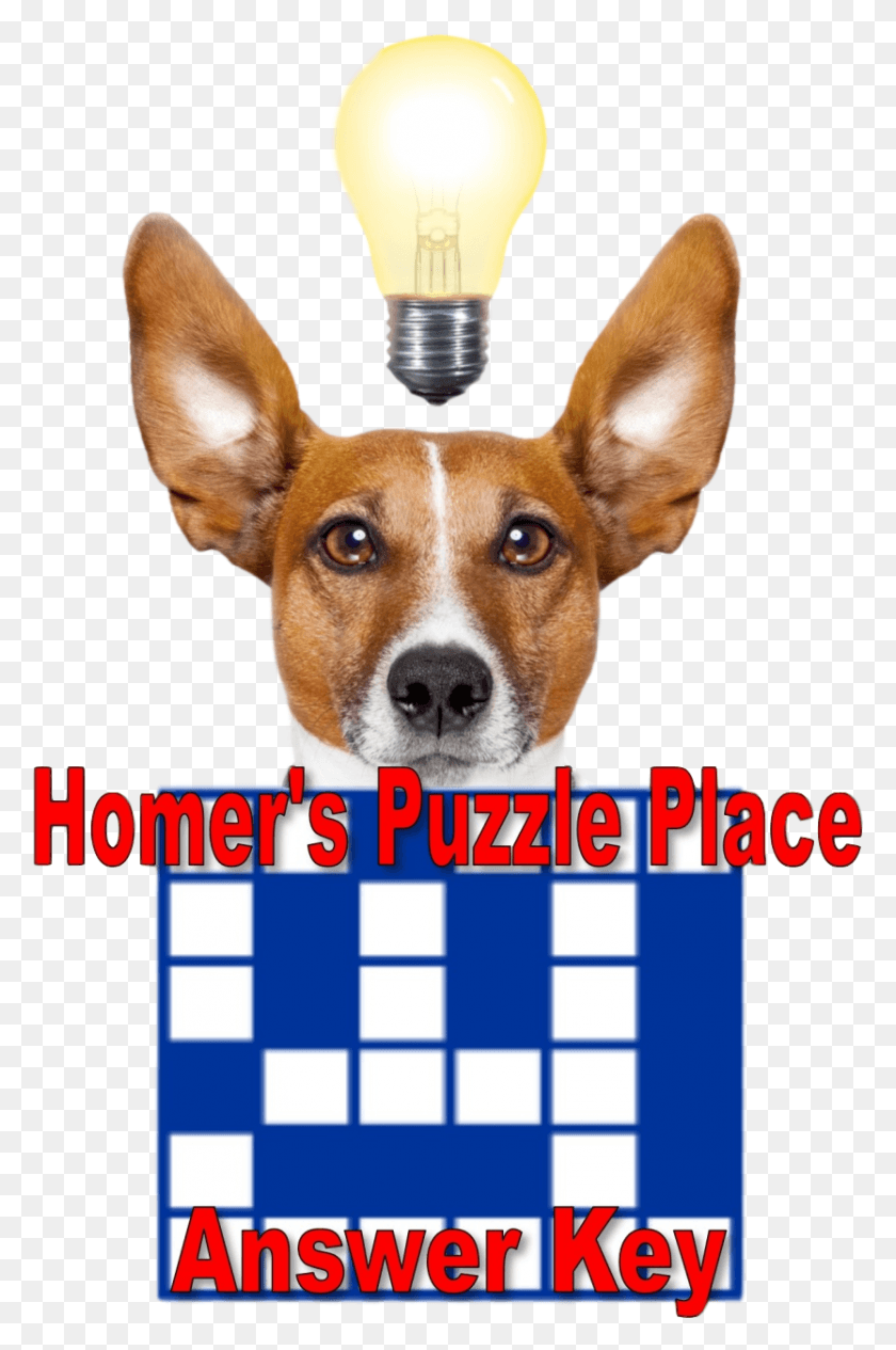 833x1287 Puzzle Place Dog With Light Bulb, Pet, Canine, Animal HD PNG Download