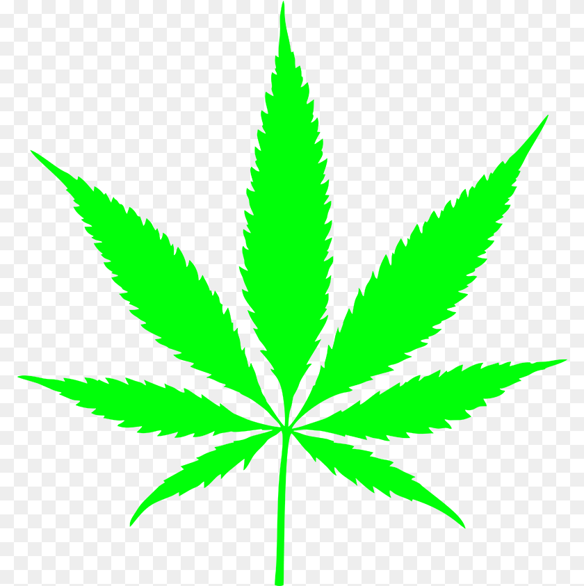 792x843 Pxmit Smoking Pot Leaf, Plant, Weed, Hemp Transparent PNG