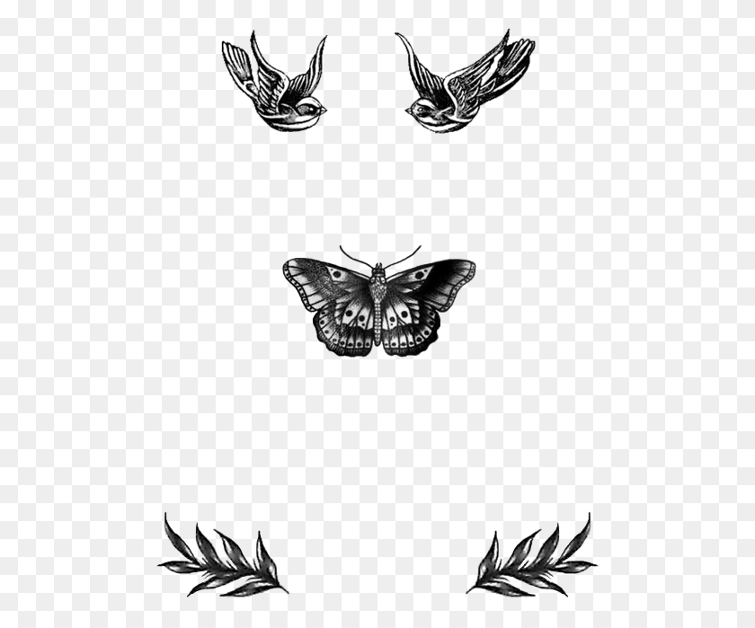 501x639 Q Harry Styles Tattoos Harry Styles Butterfly Tattoo Harry Style Tattoo Drawing, Insect, Invertebrate, Animal HD PNG Download