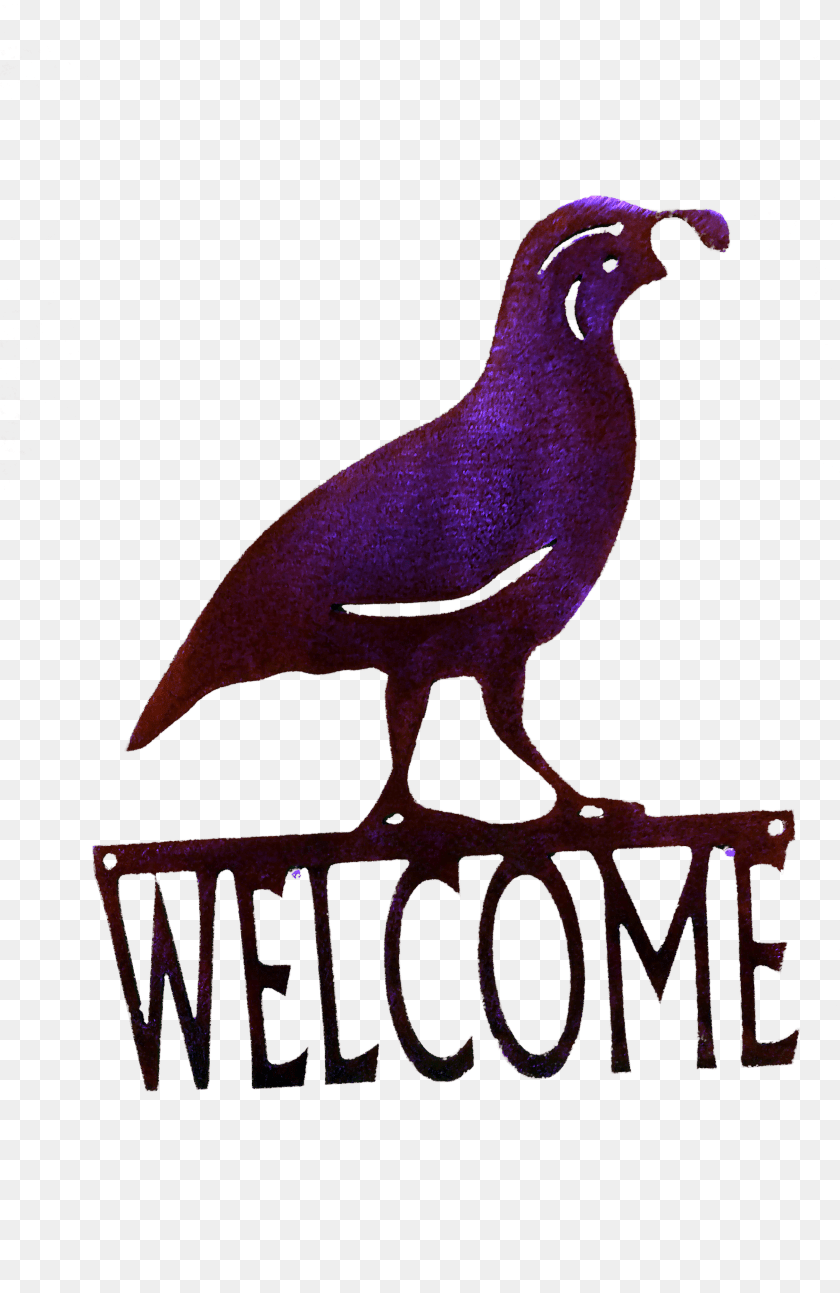 2621x4035 Quail Welcome Small Larger Cartoon, Animal, Bird, Logo Clipart PNG