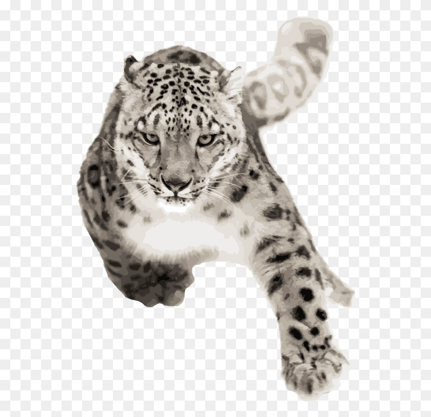 545x752 Качественные Входные Данные Необходимы Для Получения Качественной Продукции Африканский Леопард, Млекопитающее, Животное, Пантера Hd Png Скачать