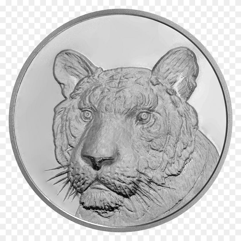 2083x2083 Quarter, Coin, Money, Mammal HD PNG Download