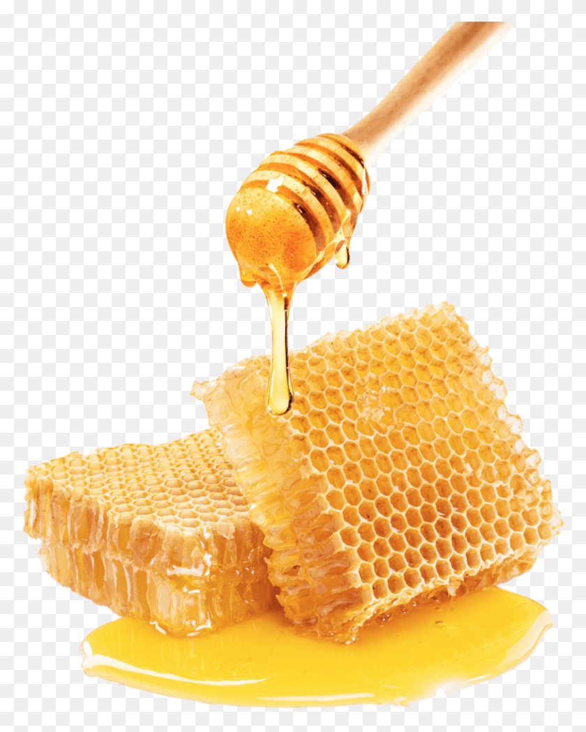 813x1031 Queen Honey Is Looking To Reverse Irresponsible Practices Honeycomb High Resolution, Food, Fungus, Person HD PNG Download