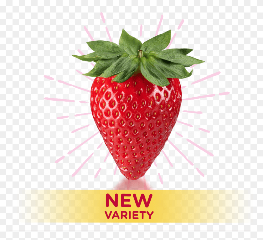 1069x969 Queen Of Strawberries Strawberry, Fruit, Plant, Food HD PNG Download