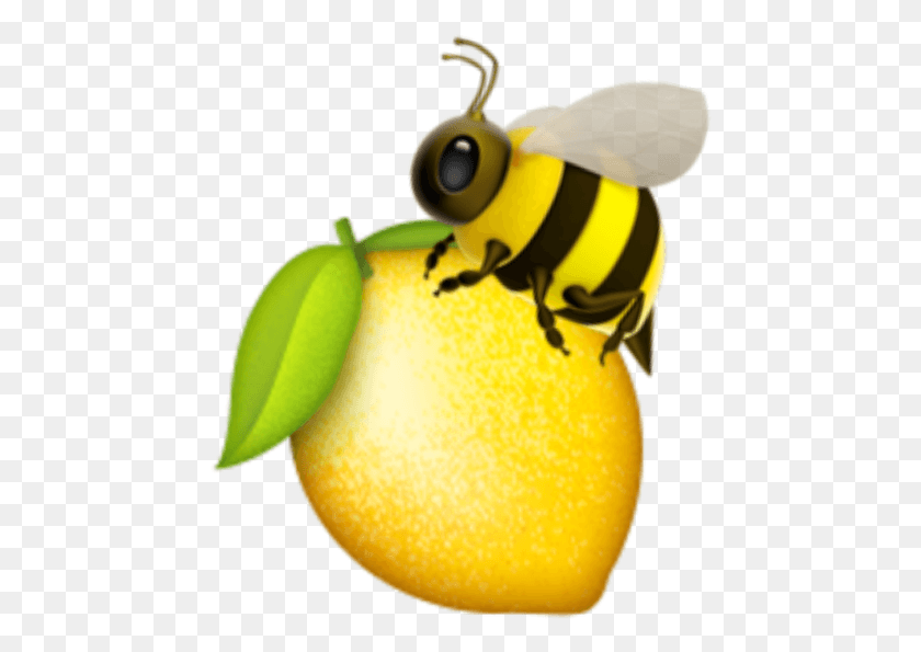 459x535 Queenbee Beyonc Beyday Bee Lemonade Lemon Beyonceknowles Lemon Emoji, Plant, Wasp, Insect HD PNG Download
