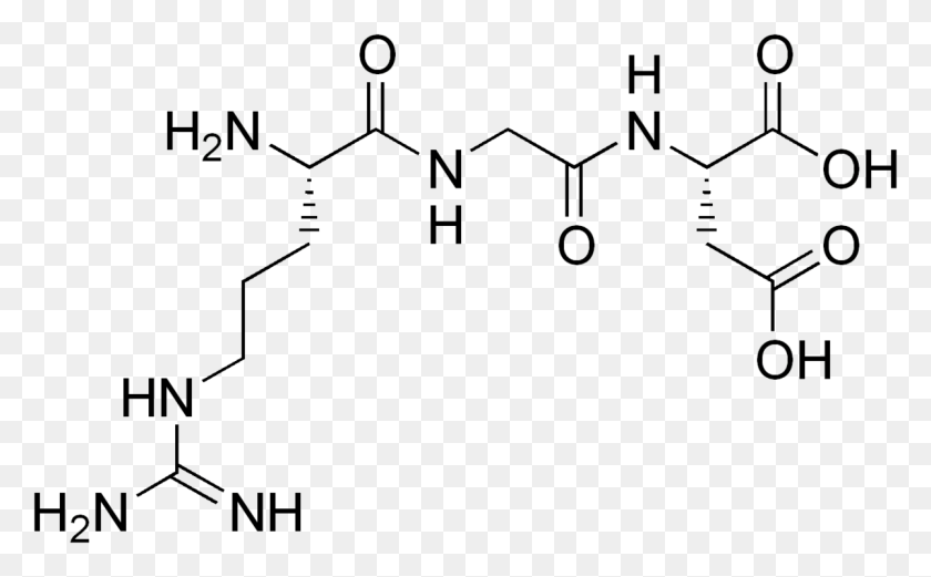 Quercetin 3 O Glucopyranoside, Text, Face, Clothing HD PNG Download