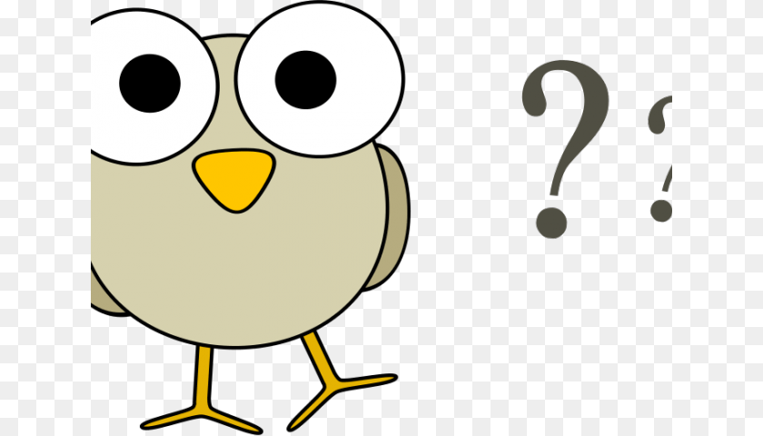 640x480 Question Mark Questino Mind Questions, Animal, Beak, Bird Clipart PNG