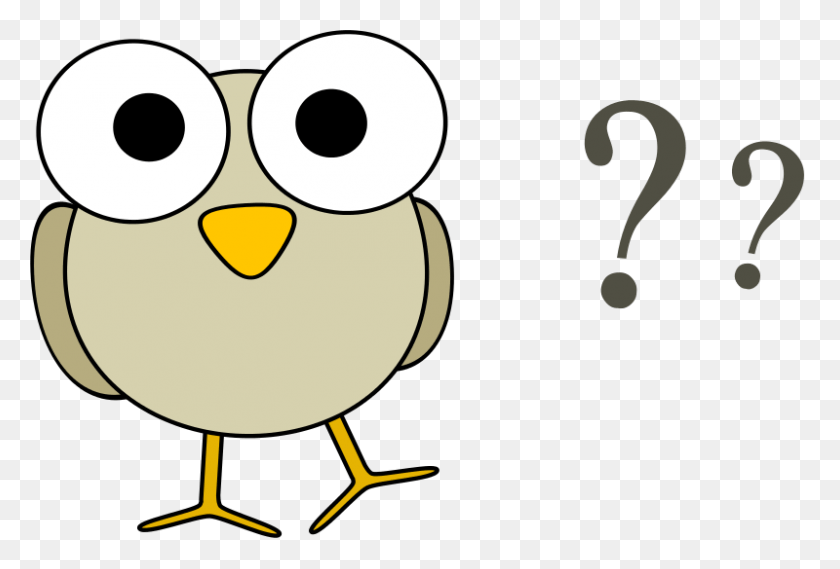 800x523 Questions Free Clipart Grey Bird With Question Marks Math Blowing Question, Animal, Angry Birds, Penguin HD PNG Download