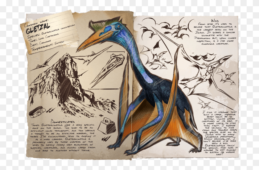 714x493 Quetzal Ark Quetzal Dossier, Bird, Animal, Dodo HD PNG Download