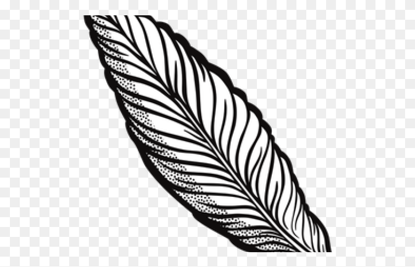 513x481 Quill Clipart Transparent Background Clip Art Feather, Leaf, Plant, Zebra HD PNG Download