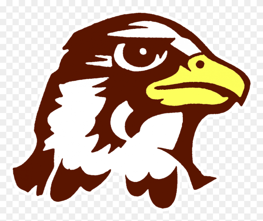 804x664 Quincy University Quincy Hawks, Eagle, Bird, Animal HD PNG Download