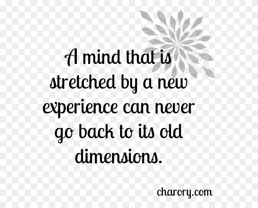 563x620 Quotes About Experience Experience Quotes, Text, Outdoors, Alphabet HD PNG Download