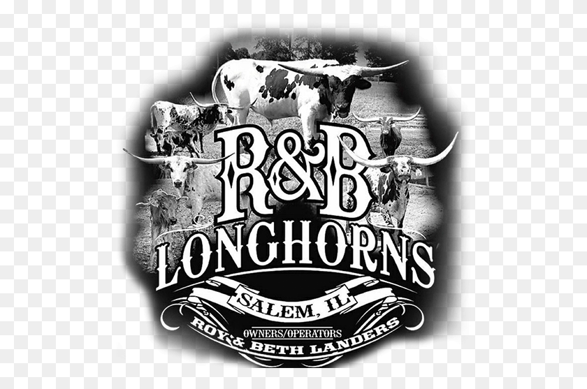507x497 R Amp B Longhorns Logo Illustration, Poster, Advertisement, Cow Descargar Hd Png
