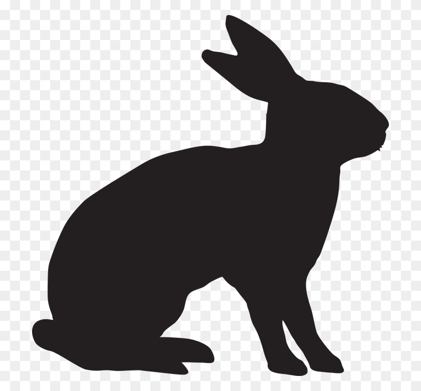 712x720 Rabbit Animal Bunny Hare Ears Easter Holidays Peter Rabbit Food Allergy, Mammal, Person HD PNG Download