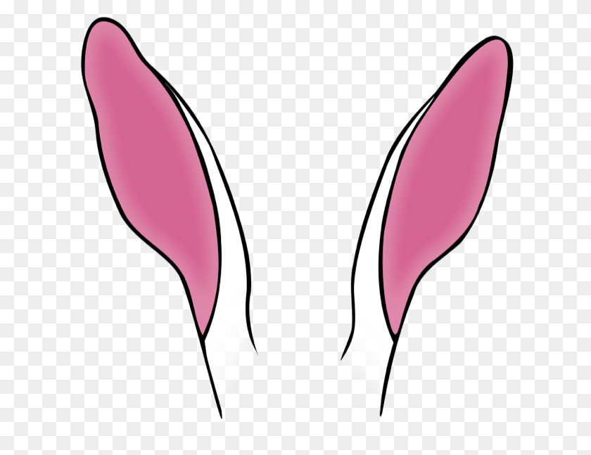 700x647 Rabbit Flower, Petal, Plant Clipart PNG