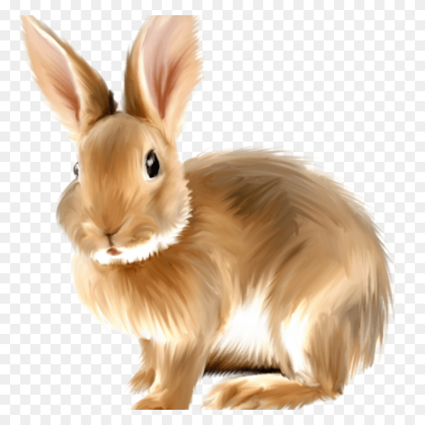 1024x1024 Rabbit Clipart Free Free Rabbits Bunnies Transparent Rabbit Clipart, Rodent, Mammal, Animal HD PNG Download