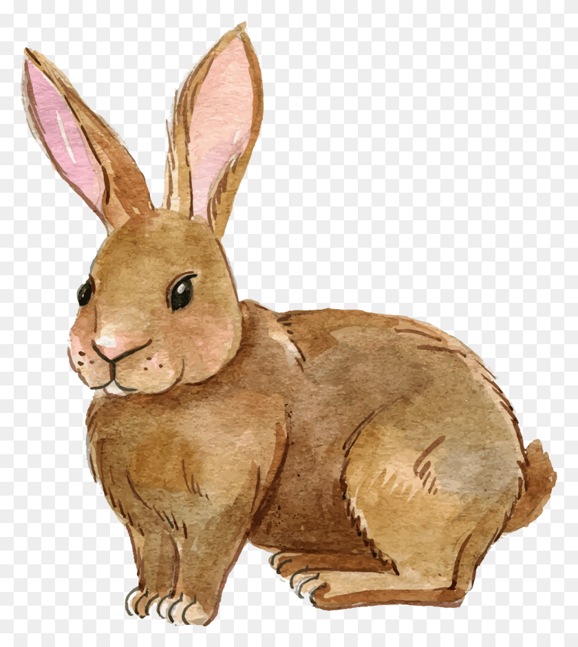1177x1329 Rabbit Clipart Rabbit Clipart Image Rabbit Clipart, Rodent, Mammal, Animal HD PNG Download