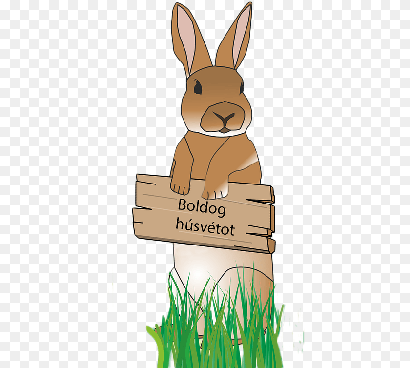 Rabbit Easter Bunny Picture, Animal, Mammal, Baby, Person Sticker PNG