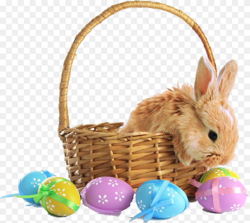 Rabbit In Easter Basket, Animal, Mammal, Rat, Rodent Transparent PNG