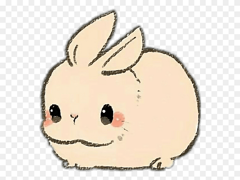 568x572 Conejo Conejo Animal Mascota Kawaii Lindo Kawaii Dibujos Lindos De Animales, Mamífero, Hucha, Collar Hd Png Descargar