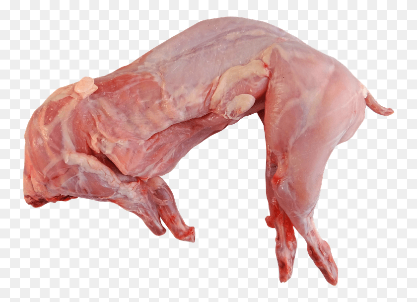 754x548 Rabbit Whole Raw Cooking Food Meat Uncooked Rabbit Meat, Animal, Hand, Finger HD PNG Download