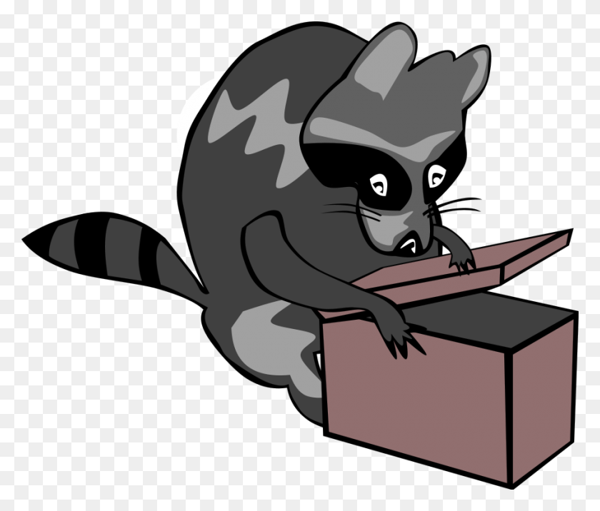 900x758 Raccoon Opening Box, Animal, Mammal, Lemur HD PNG Download