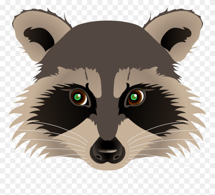 916x829 Raccoon Painting Clip Raccoon Head Transparent Background, Mammal, Animal, Poster HD PNG Download