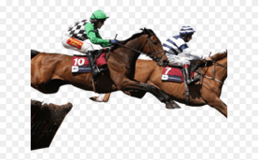 641x463 Race Horse Transparent Background, Person, Human, Equestrian HD PNG Download