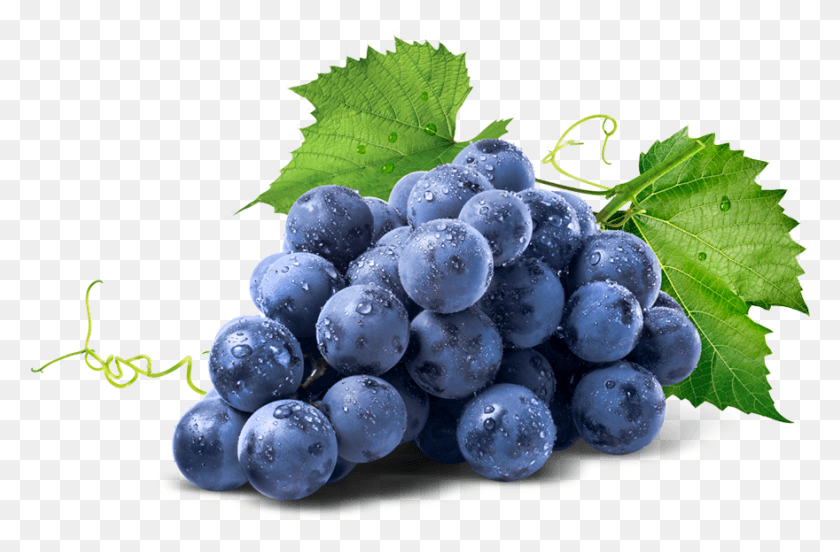 880x556 Racimo De Uvas Wine Grapes, Plant, Fruit, Food HD PNG Download
