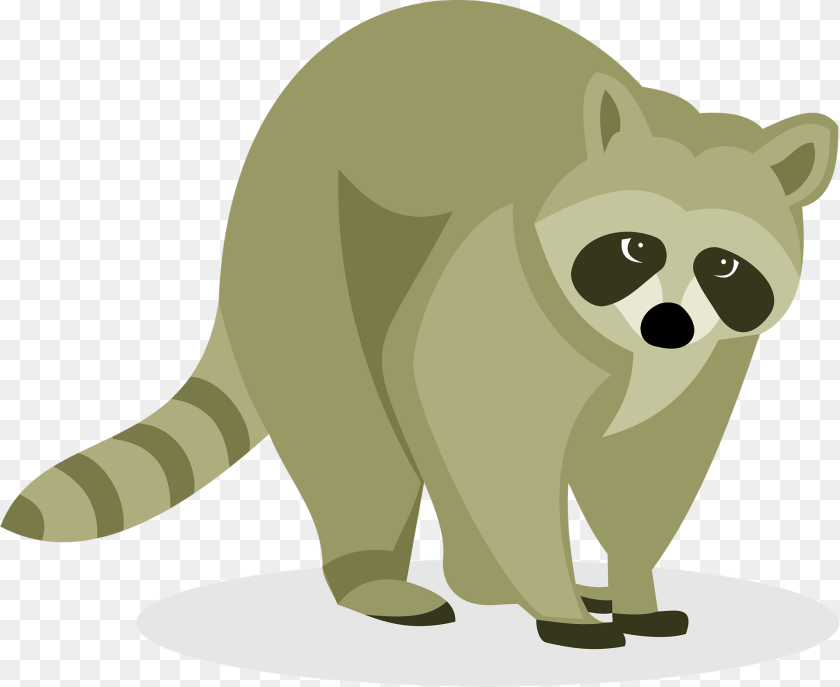 Racoon Clipart, Animal, Mammal, Pig, Fish PNG