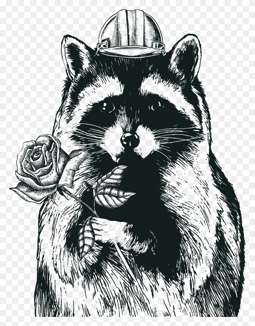 1907x2477 Racoon Clipart Gray Domestic Long Haired Cat, Stencil, Pet, Mammal HD PNG Download