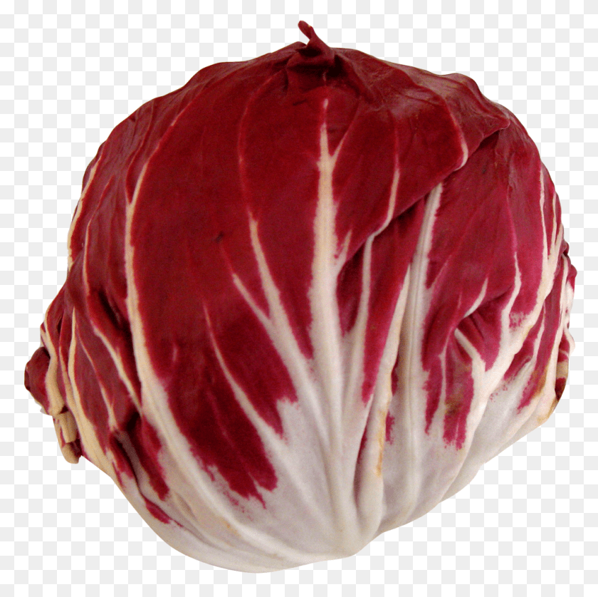 1088x1086 Radicchio Image, Food, Leafy Green Vegetable, Plant, Produce Clipart PNG