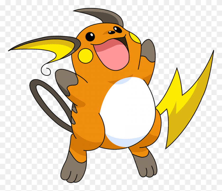 900x765 Raichu, Animal, Bird, Outdoors HD PNG Download