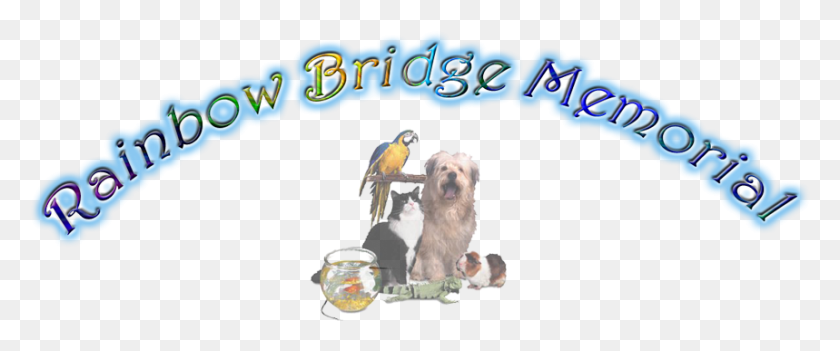 859x321 Rainbow Bridge Dog Angel, Animal, Pet, Canine HD PNG Download