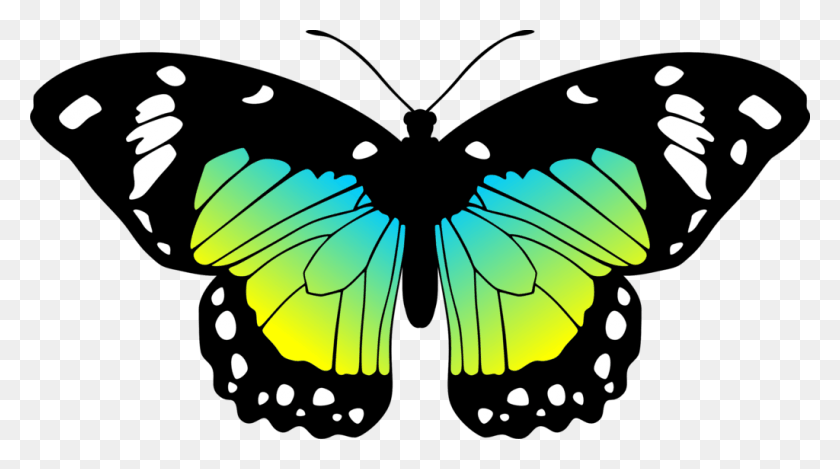 1024x537 Rainbow Butterfly Clipart Green Butterfly Think The Saddest People Always Try Their Hardest To, Insect, Invertebrate, Animal HD PNG Download