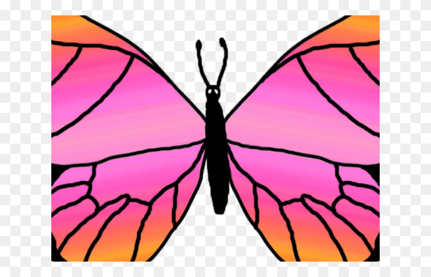 640x480 Rainbow Butterfly Clipart Transparent Pink And Orange Butterfly, Animal, Insect, Invertebrate HD PNG Download