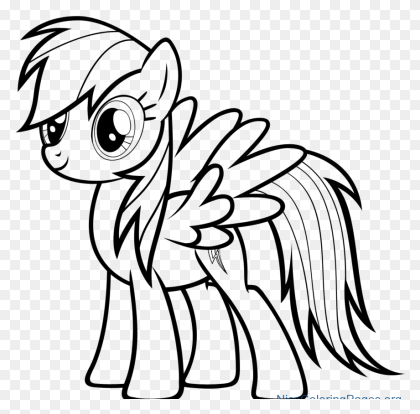 855x842 Rainbow Dash Photo Drawing My Little Pony Rainbow Dash Drawing, Flare, Light, Astronomy HD PNG Download