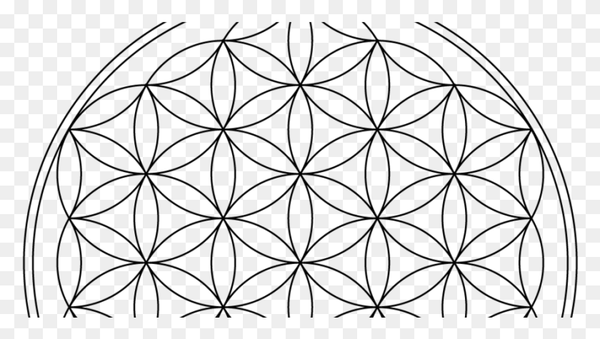 883x470 Rainbow Flower Of Life Flower Of Life Vector Free, Gray, World Of Warcraft HD PNG Download