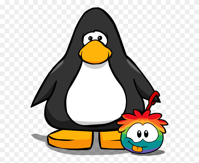 583x625 Descargar Png Rainbow Puffle Wiki Fandom Club Penguin, Pingüino, Pájaro, Animal Hd Png
