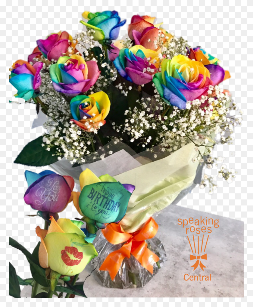 923x1132 Rainbow Rose, Plant, Flower Arrangement, Flower HD PNG Download