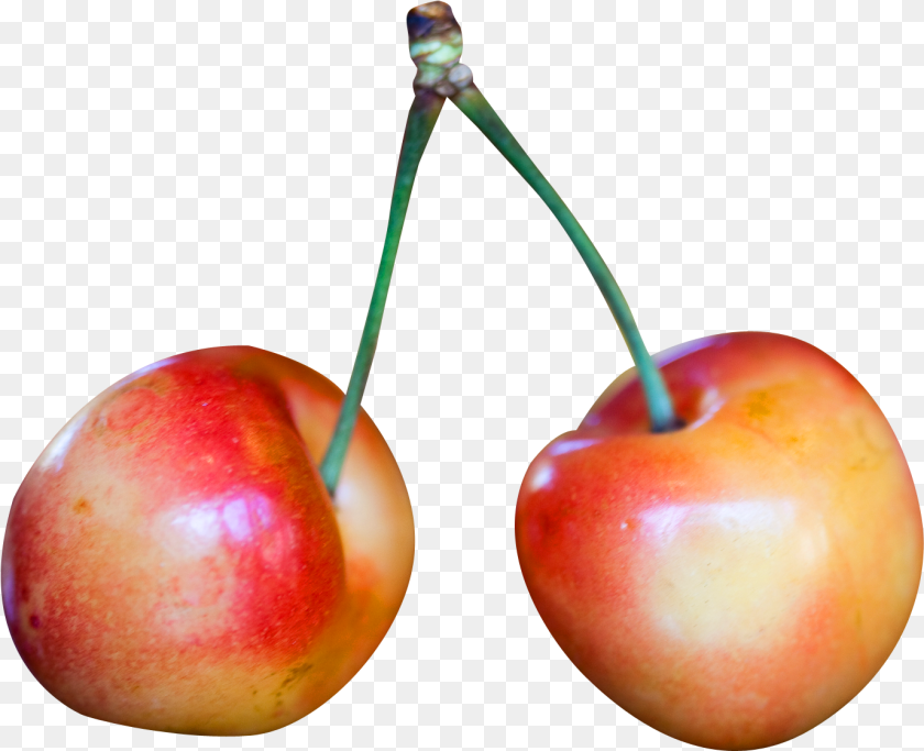 1377x1119 Rainier Cherry, Apple, Food, Fruit, Plant Sticker PNG