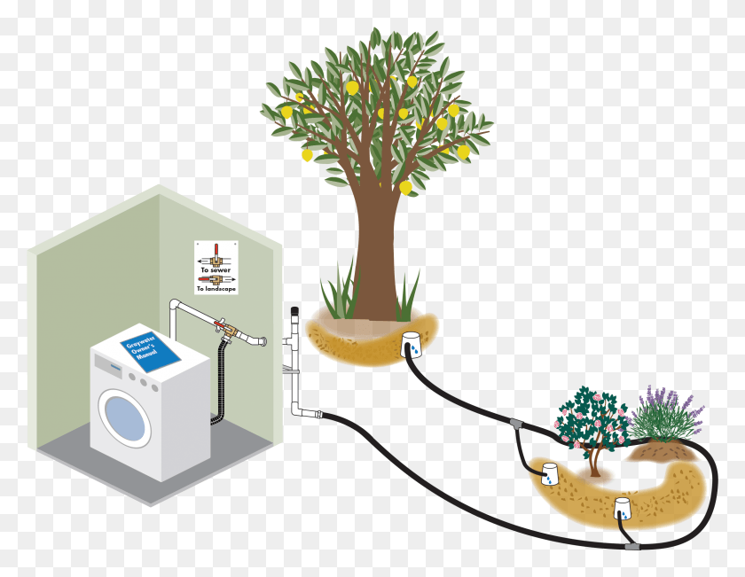 2376x1803 Rainwater Harvesting And Graywater Reuse In Sunnyvale Houseplant, Appliance, Electrical Device HD PNG Download
