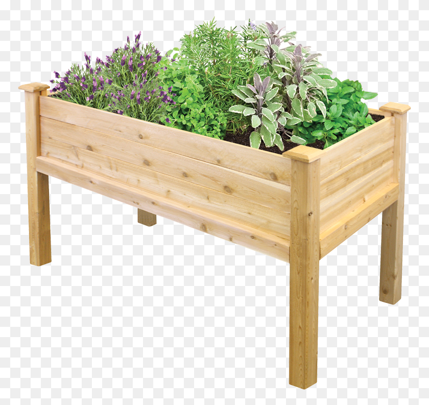 771x733 Raised Bed, Potted Plant, Plant, Vase HD PNG Download