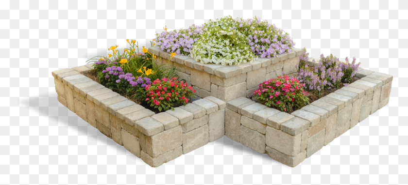836x346 Raised Garden Plans Aubretia, Plant, Outdoors, Flagstone HD PNG Download