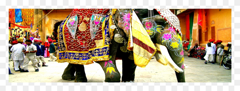 1522x507 Перевозка Слонов Из Раджастана В Индии, Человек, Человек, Одежда Hd Png Скачать