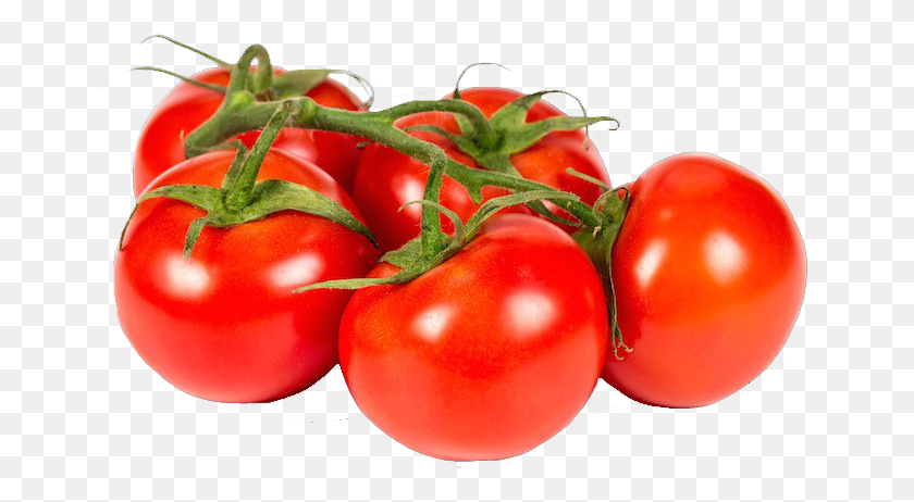 661x402 Rama Ecol Gico Kg Tomato, Plant, Vegetable, Food HD PNG Download