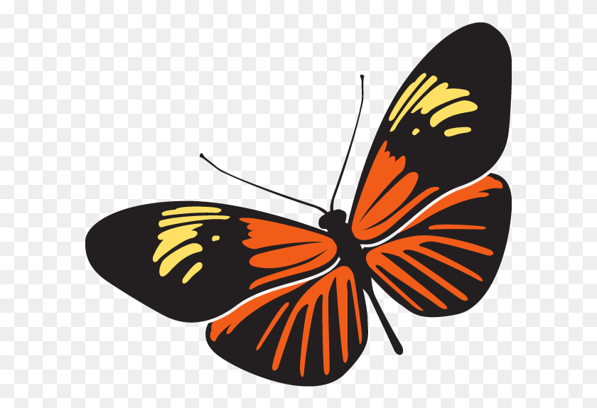 601x514 Rama Rama Is The Malaysian Word For Butterfly Rama Rama Clipart, Insect, Invertebrate, Animal HD PNG Download
